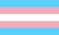 Trans flag